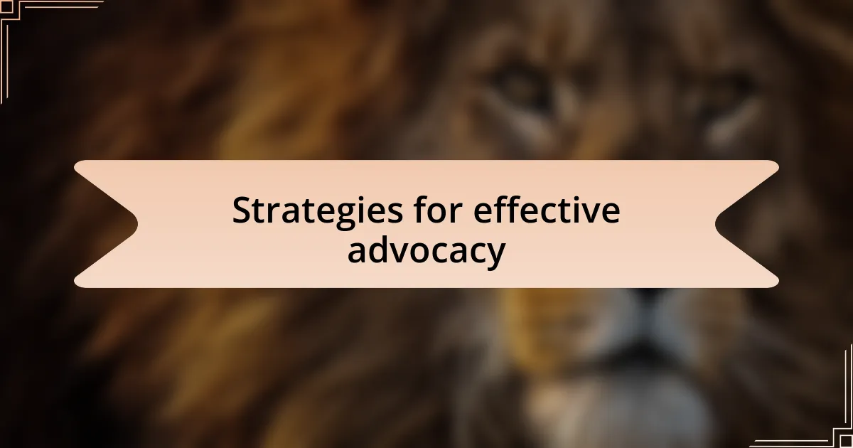 Strategies for effective advocacy