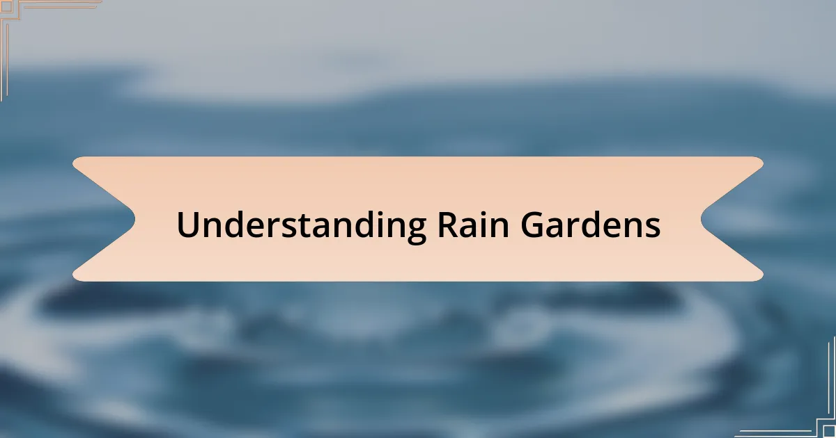 Understanding Rain Gardens